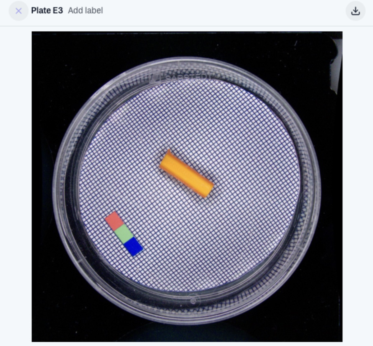 Screenshot 2024-07-17 at 09.51.40.png